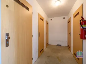 Prodej bytu 3+kk, Plzeň - Bolevec, Studentská, 75 m2