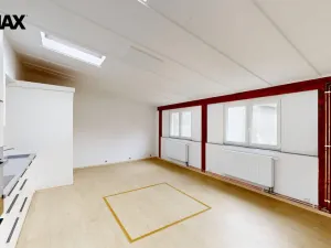 Prodej bytu 3+1, Odrovice, 220 m2