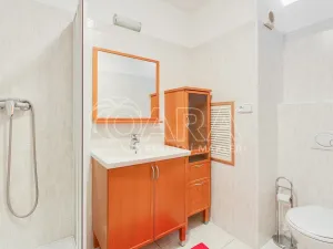 Pronájem bytu 1+1, Roztoky, Braunerova, 44 m2