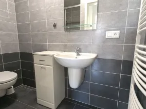 Pronájem bytu 1+kk, Olomouc, Wolkerova, 26 m2