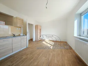 Pronájem bytu 1+1, České Budějovice, 44 m2