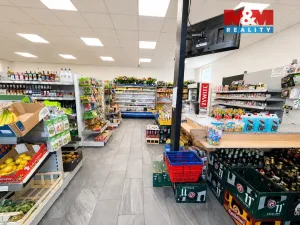 Prodej obchodního prostoru, Měrunice, 210 m2