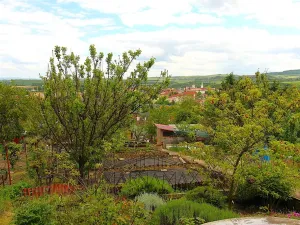 Prodej zahrady, Kadaň, Zahradní, 385 m2