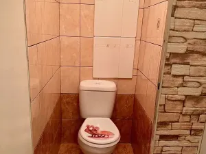 Prodej bytu 2+1, Bílina, Aléská, 48 m2