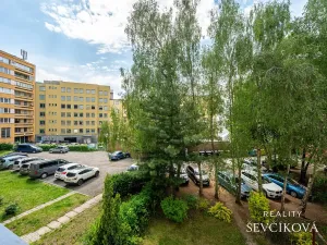 Prodej bytu 2+1, Hradec Králové, M. D. Rettigové, 62 m2