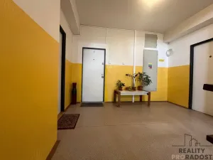 Pronájem bytu 2+1, Praha, Šenovská, 55 m2