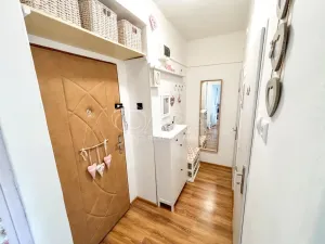Pronájem bytu 1+1, Ústí nad Labem - Střekov, Střekovské nábřeží, 37 m2