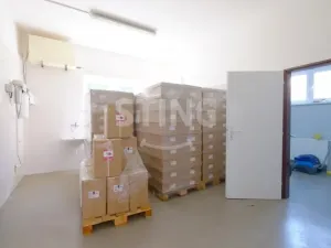 Prodej rodinného domu, Holasovice - Štemplovec, 295 m2