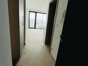 Pronájem bytu 1+kk, Plzeň - Jižní Předměstí, U Borského parku, 24 m2