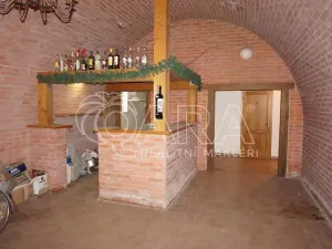 Pronájem restaurace, Ústí nad Orlicí, Heranova, 270 m2