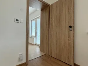 Pronájem bytu 3+1, Olomouc, 150 m2