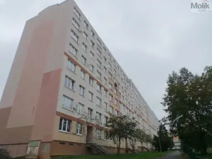 Pronájem bytu 1+kk, Most, Lidická, 33 m2