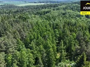 Prodej lesa, Vršovice, 13182 m2