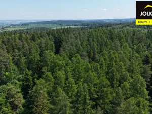 Prodej lesa, Vršovice, 13182 m2