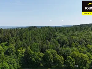 Prodej lesa, Vršovice, 13182 m2