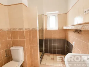 Pronájem bytu 2+1, Praha - Nusle, U Jedličkova ústavu, 56 m2