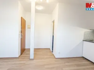 Pronájem bytu 1+kk, Olomouc - Hodolany, Zeyerova, 20 m2