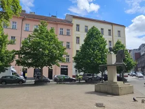 Pronájem bytu 1+kk, Praha - Žižkov, Milíčova, 34 m2