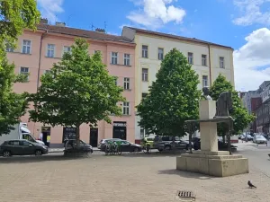 Pronájem bytu 1+kk, Praha - Žižkov, Milíčova, 34 m2