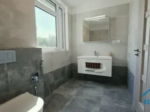Pronájem bytu 4+kk, Herink, U Kovárny, 165 m2