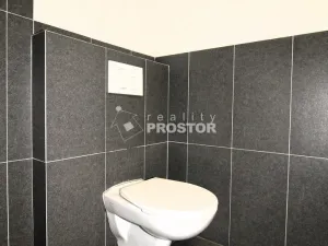Pronájem bytu 1+kk, Mělník, náměstí Míru, 42 m2