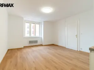 Prodej bytu 1+kk, Praha - Žižkov, Baranova, 34 m2