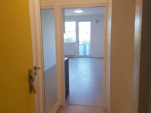 Pronájem bytu 1+kk, Brno, Reissigova, 34 m2