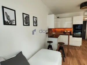 Pronájem bytu 1+kk, Praha, Sokolovská, 28 m2