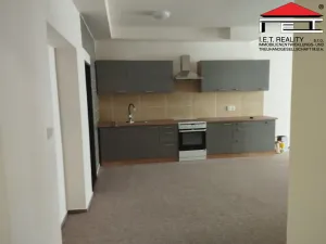 Pronájem bytu 2+kk, Opava, Sněmovní, 90 m2