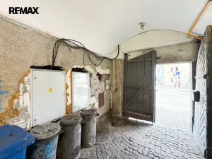 Prodej vícegeneračního domu, Březnice, Náměstí, 414 m2