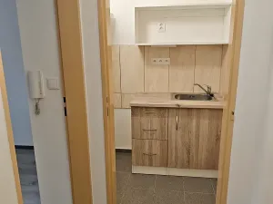 Pronájem bytu 1+kk, Praha - Hlubočepy, Na Zlíchově, 20 m2