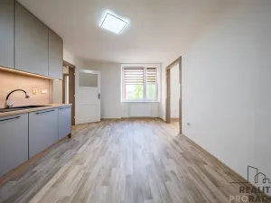 Prodej bytu 3+kk, Veselí nad Moravou, 63 m2