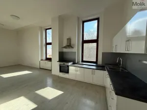 Pronájem bytu 4+kk, Most, Čsl. armády, 114 m2