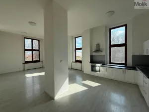 Pronájem bytu 4+kk, Most, Čsl. armády, 114 m2