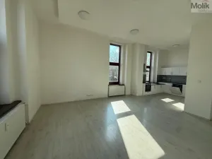 Pronájem bytu 4+kk, Most, Čsl. armády, 114 m2