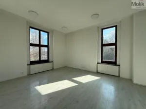 Pronájem bytu 4+kk, Most, Čsl. armády, 114 m2