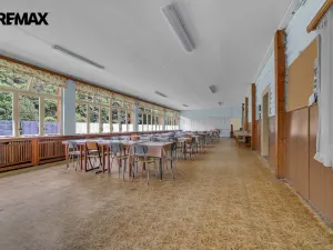 Pronájem ubytování, Vysoká Srbská, 900 m2