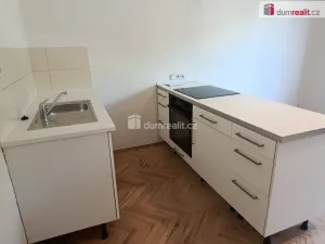 Pronájem bytu 2+kk, Praha - Bubeneč, Ve struhách, 45 m2