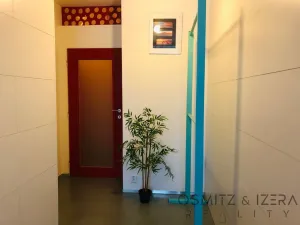 Pronájem bytu 1+1, Praha - Vinohrady, Na Folimance, 40 m2