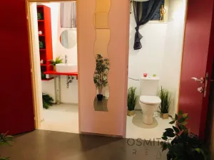 Pronájem bytu 1+1, Praha - Vinohrady, Na Folimance, 40 m2