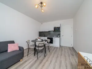 Pronájem bytu 1+kk, Olomouc, Frištenského, 32 m2