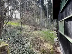Prodej chaty, Velké Petrovice, 35 m2