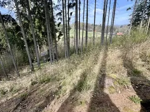 Prodej chaty, Velké Petrovice, 35 m2