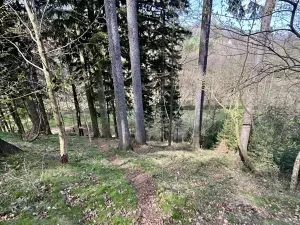 Prodej chaty, Velké Petrovice, 35 m2