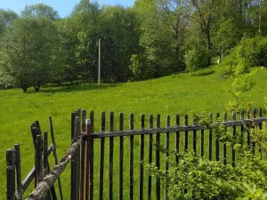 Prodej pozemku pro bydlení, Merklín, 1000 m2