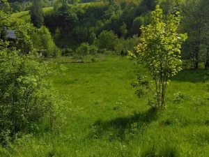 Prodej pozemku pro bydlení, Merklín, 1000 m2