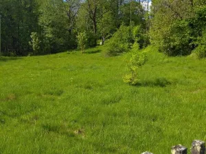 Prodej pozemku pro bydlení, Merklín, 1000 m2