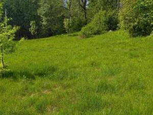 Prodej pozemku pro bydlení, Merklín, 1000 m2
