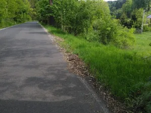 Prodej pozemku pro bydlení, Merklín, 1000 m2