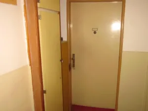 Dražba bytu 2+1, České Budějovice - České Budějovice 7, Roudenská, 51 m2